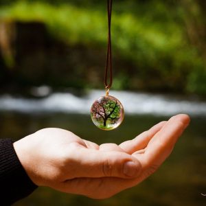 Bilan Vital ou RDV de suivi+ Bilan Biorésonnance